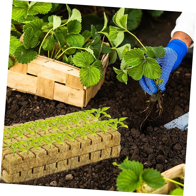 100Pcs Plant Grow Cubes for Hydroponics for Starting and Plant Propagation Soilless Culture High Air Permeability for Indoor Gardening and Cloning Systems