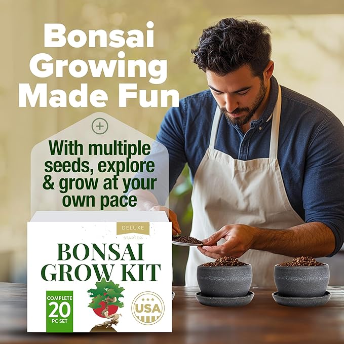 2000+ Vegetable Seeds for Planting - HOME GROWN Bonsai Tree Kit – Easy to Grow 4 Species of Bonsai