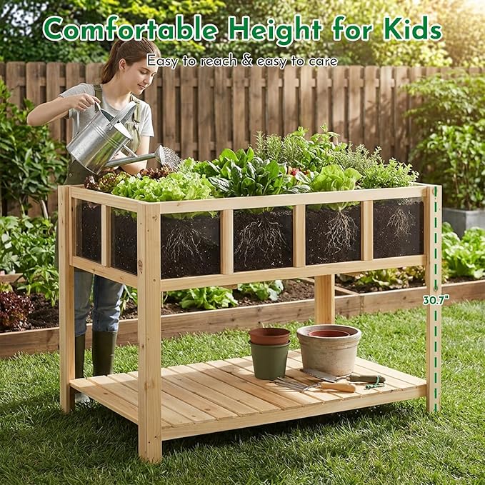 Raised Garden Bed with Transparent Acrylic Panels Elevated Wooden Raised Garden Bed Planter Fir Wood Outdoor Planter Box for Herbs Flowers &amp Patio Balcony Gardening (Natural)