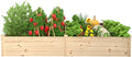 BlueWish Raised Garden Bed Outdoor Planter Box with Open Bottom Mortise Design Ground Garden Bed for Fruit Vegetables Herbs 94''L x 47''H x 15''W