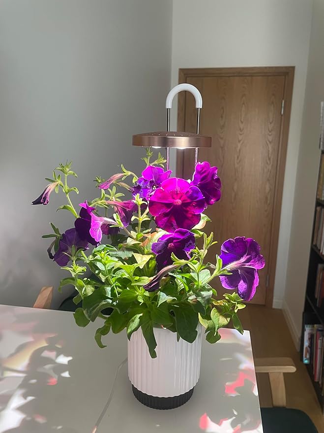 Mini Smart Planter Kit with Petunia Plant Pods by Click&ampGrow Hydrovase Indoor Garden Self-Watering Pot with Grow Light (White)
