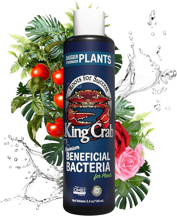 King Crab Instant Compost Tea Root Stimulator for Plants Ultra Concentrated OMRI Organic Bacteria 275 Million Organisms per ml Roses Tomatoes Houseplants Soil Conditioner Soil Microbes
