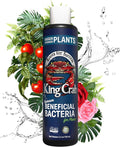 King Crab Instant Compost Tea Root Stimulator for Plants Ultra Concentrated OMRI Organic Bacteria 275 Million Organisms per ml Roses Tomatoes Houseplants Soil Conditioner Soil Microbes