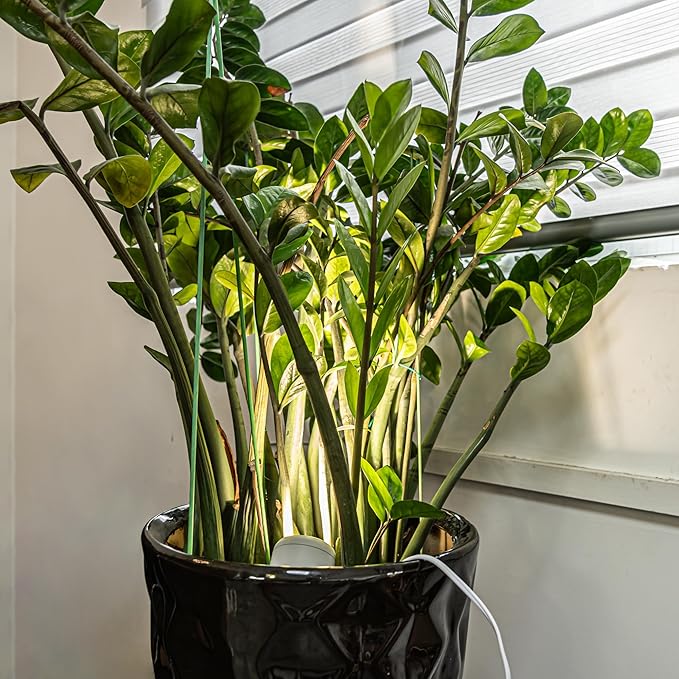 5W Full Spectrum Spot Light Plant Growing Light 5.9 Feet Timing Switch Cord Indoor Wall Mounted Adjusted Angle Floor Stand Lighting Modern Style for Indoor Plants