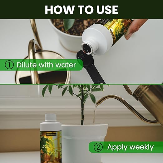 Humboldts Secret Everything Indoor Plant Food | 3-3-3 All Purpose Liquid Fertilizer with Norwegian Kelp | Supports Growth and Strong Roots | Nutrients for Houseplants &amp Indoor Plants | 32 Ounce