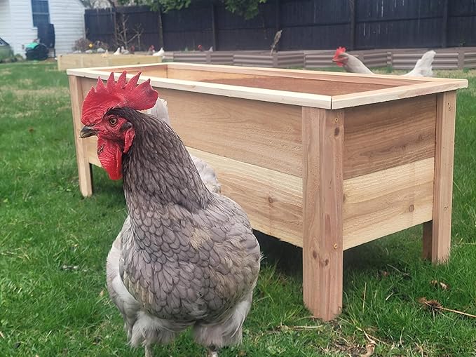 Cedar Raised Garden Bed Planter Box with Legs – Heavy Duty Outdoor Wooden Planter for Vegetables &amp Flowers No Bending Elevated Design Custom Size Handmade in USA (60in x 15.5in x 16in)