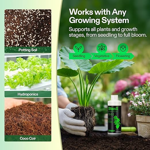 VIVOSUN StemX (0-0-2) Silica for Plants Soluble Liquid Silicon Plant Supplement Fertilizer Nutrient Solution for Strong Stems and Healthy Leaves Boost Resilience pH Balance 8 oz (Pack of 2)