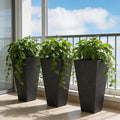 Set of 3 Flower PotsTall