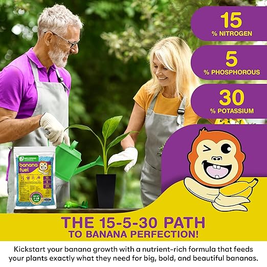 Wellspring Gardens Banana Fuel Fertilizer - Water-Soluble 15-5-30 Blend - Fertilizer for Banana Trees &amp Plants - Grow Healthy Plants (2 Pounds)