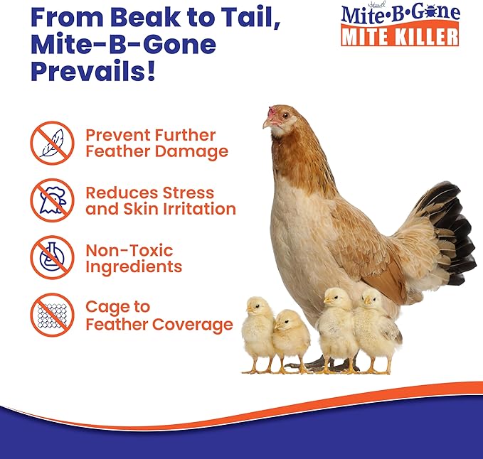 Mite Killer Spray - 1 Gal Natural Mite Treatment Kills Human Dust Chicken Poultry Bird Carpet &amp Rat Mites in Homes and Farm | Family &amp Pet Safe by Mite-Be-Gone