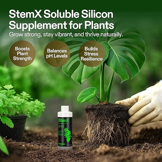 VIVOSUN StemX (0-0-2) Silica for Plants Soluble Liquid Silicon Plant Supplement Fertilizer Nutrient Solution for Strong Stems and Healthy Leaves Boost Resilience pH Balance 8 oz (Pack of 2)
