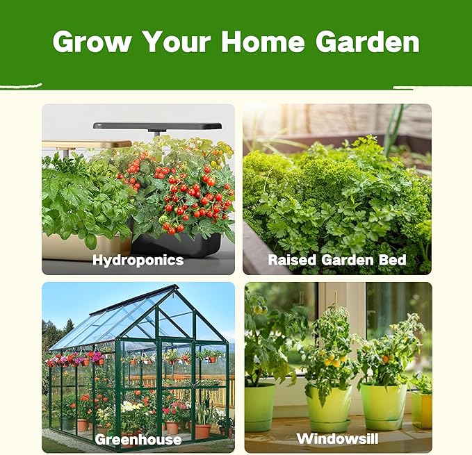 Lush&ampDew Companion Plants Heirloom Seed Bank Gardening Gifts for Women &amp Men 32 Varieties 30000+ Non-GMO Vegetable Seeds for Planting in Garden Bed Greenhouse Survival Seed Kit for Food Su