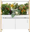 Rise Gardens 1 Level Garden | Hydroponics Growing System Wi-Fi &amp App Controlled Indoor Garden with Growing Lights &amp Self-Watering System | Cloud
