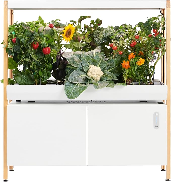 Rise Gardens 1 Level Garden | Hydroponics Growing System Wi-Fi &amp App Controlled Indoor Garden with Growing Lights &amp Self-Watering System | Cloud