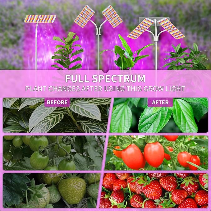 KINGPLUS Grow Lights with Stand Double Head Full Spectrum LED Grow Light for Indoor Plants 240 Leds 4 Dimmable Levels Timer 4/8/12h 12-60inches Height Adjustable 36w Ideal for Desk Small Plant