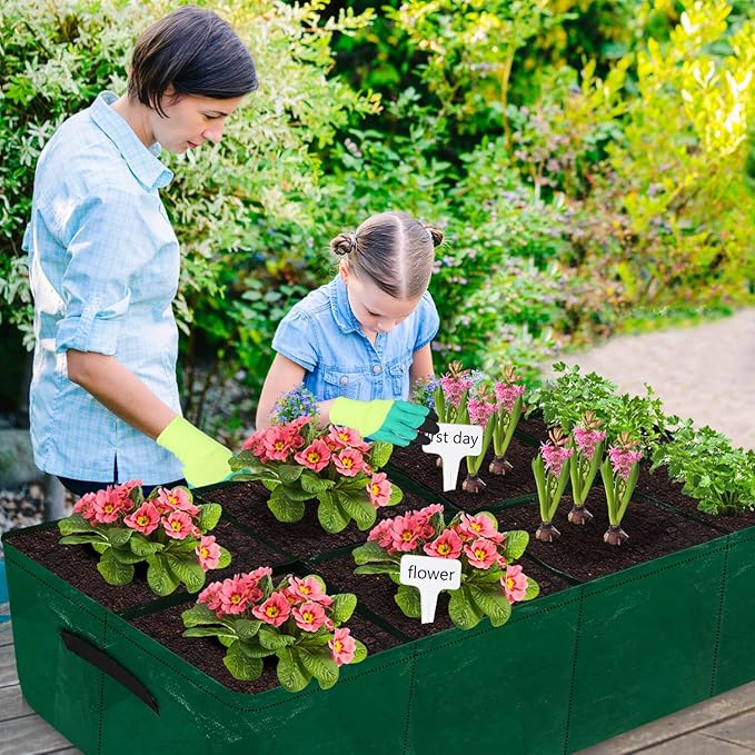 Caffox 2 Pack Fabric Raised Garden Bed 4x2x0.8ft Plant Grow Bags for Flowers and Vegetables 94 Gallon