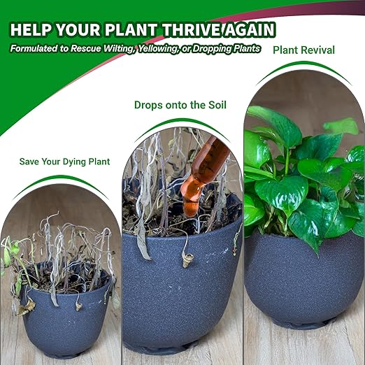 Propagation Plant Drops Prop Solution for Healthier Roots &amp Care of Struggling Houseplants 4oz