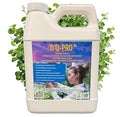 D'Q-PRO Concentrated Quillaja Extract Bio-Stimulant and Wetting Agent (1 Quart)