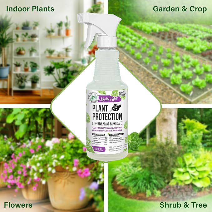 Mighty Mint Peppermint Oil Plant Protection Spray – Insect &amp Pest Control for Gnats Spider Mites &amp Aphids – Plant-Based Easy-to-Use - 16 oz