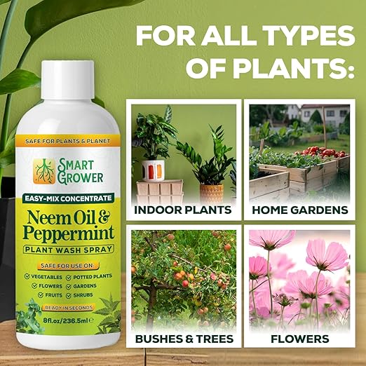 Neem Oil Spray for Plants with Peppermint Oil – for Indoor &amp Outdoor Plants Gardens &amp Houseplants– Best Value Refill 8 oz Concentrate Makes 1 Gallon RTU