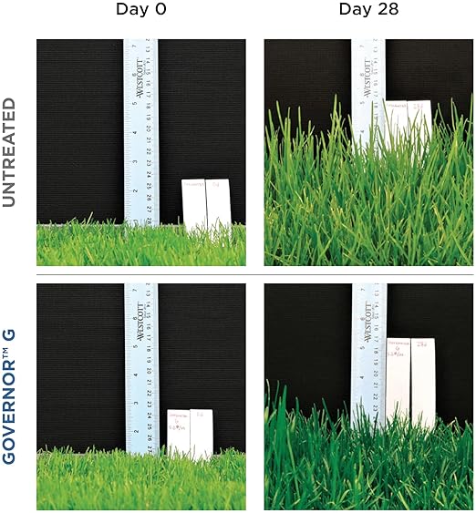 The Andersons Governor G Granular Lawn Growth Regulator - Covers up to 20000 sq ft (34 lb)