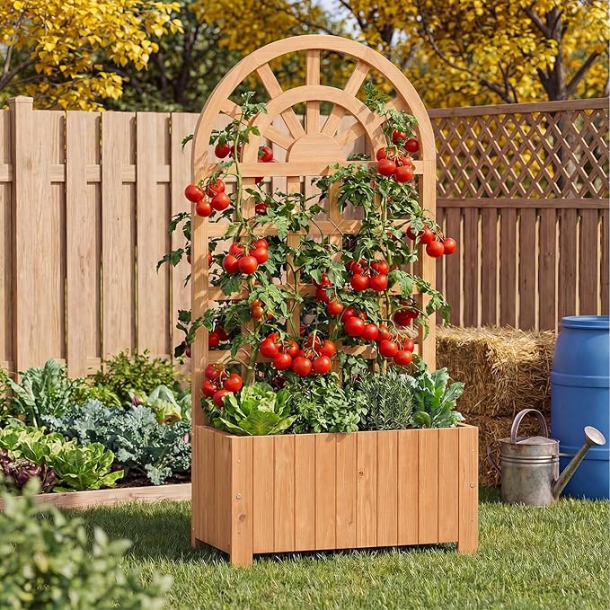 BECOMFORT 48”H Raised Garden Bed with Arched Trellis Fir Wood Planter Box with Privacy Screen &amp Drainage Holes for Balcony Yard Elevated Outdoor Flower Box for Climbing Plants Vegetables &amp