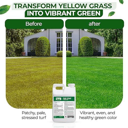 Five Star LQ Iron 12-0-0 Liquid Fertilizer for Rapid Green-Up &amp Chlorosis Correction - Perfect Nitrogen Fertilizer with 6% Iron 2% Manganese &amp Low pH for Turf Trees &amp Ornamentals - 2.5 G