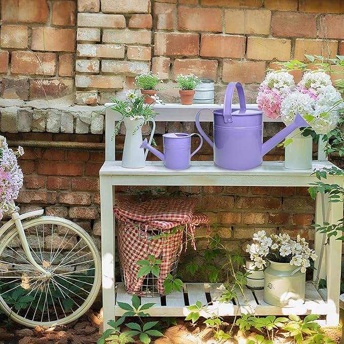 Small Metal Watering Can Set Pink 1.2L and 0.23L Garden Cans with Long Spout Indoor Outdoor Plant Care (Purple)