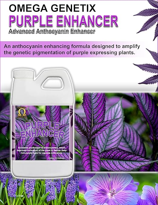 Purple Enhancer