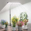 GYTF Super-Bright Plant Grow Light 6000K 108LEDs Full Spectrum Plant Lamp with Timer 4/8/12Hrs &amp Height Extendable for Home Office Desktop Indoor Plants 12V 3A High Power Output for Faster Growt