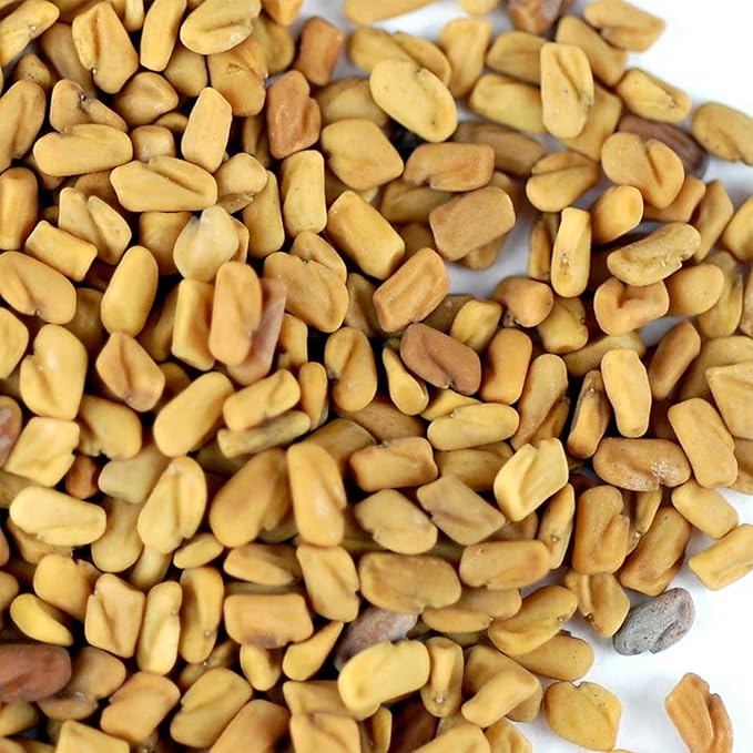 Organic Fenugreek Sprouting Seeds - Seeds for Planting Hydroponics Growing Sprouts Grinding for Spices &amp More (5 Lb)