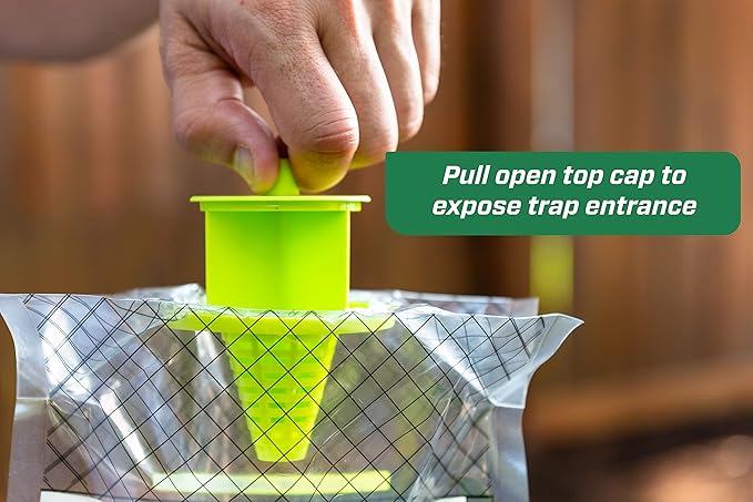 RESCUE! Disposable Summer Yellowjacket Trap - Mountain &amp Pacific Formula - 6 Traps