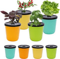 Kratky Method Hydroponic Planter Kit 8 Hydroponic Planter Plus 24 Growing Sponges for Herbs Hydroponic Mini Buckets for Windowsill Herb Garden Hydroponic Growing System for Vegetables