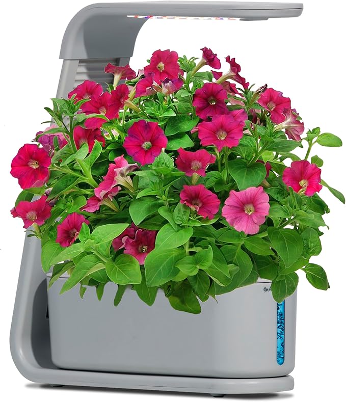 AeroGarden Sprout with Gourmet Herb Seed Pod Kit - Indoor Garden with LED Grow Light Cool Gray