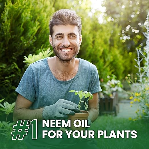 100% Pure Cold-Pressed Concentrated Neem Oil – Natural Care for Indoor &amp Outdoor Plants and Vegetables (128 Oz)