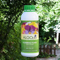 Park Seed AlgoPlus Improved Mineral Based Fertilizer - Flowering