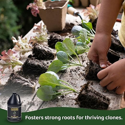 Clonex Clone Solution Professional-Grade Nutrient Formula for Seedlings Cuttings and General Use. Feeds Young Plants Helps Promote Growth &amp Rapid Root Development - 1 Gallon