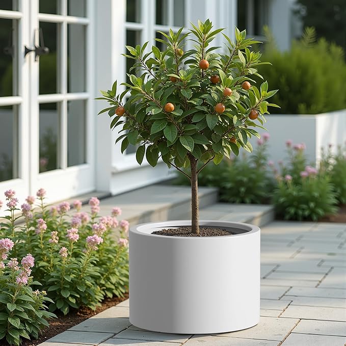 Heavy Duty Corten Steel Round Raised Garden Bed Kit 15.5 Dia. x 20 H. Pre Rusted Metal Planter Box for Vegetables Flowers Herbs White Ideal for Outdoor Gardening
