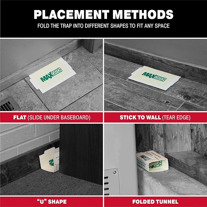 Catchmaster Max-Catch Mouse &amp Insect Glue Trap 36pk Mouse Traps Indoor for Home Sticky Pest Control Adhesive Tray for Catching Bugs Bulk Classic Glue Boards