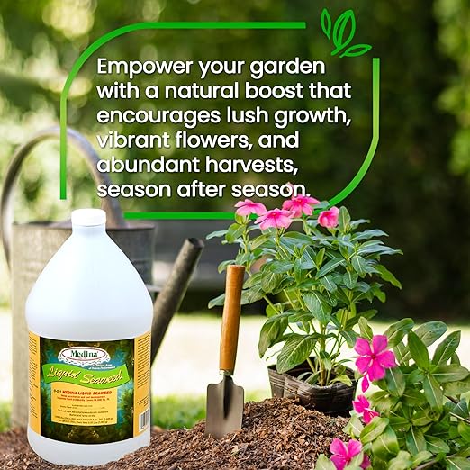 Medina Liquid Seaweed Fertilizer for Plants - Concentrated Seaweed Fertilizer for Lawn and Garden - Enhances Plant Growth and Soil Health - Ready to Spray - 1 Gallon Covers 64000 Sq. Ft.