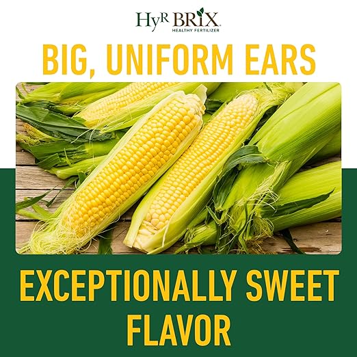 HyR BRIX Slow-Release 16-7-10 Sweet Corn Fertilizer 5lb Bucket - Corn Food with Calcium &amp Sulfur - Essential Micronutrients for Big Uniform Ears &amp Sweet Flavor