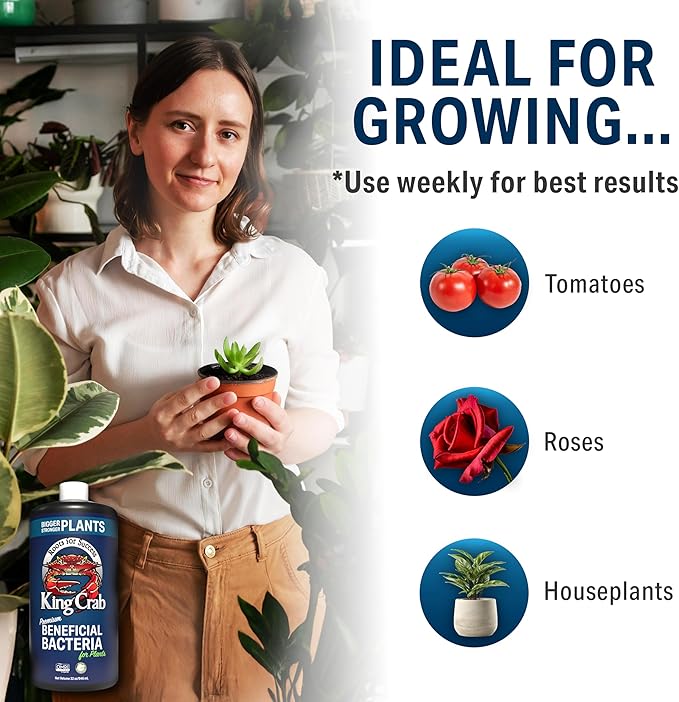 King Crab Instant Compost Tea Root Stimulator for Plants Ultra Concentrated OMRI Organic Bacteria 275 Million Organisms per ml Roses Tomatoes Houseplants Soil Conditioner Soil Microbes