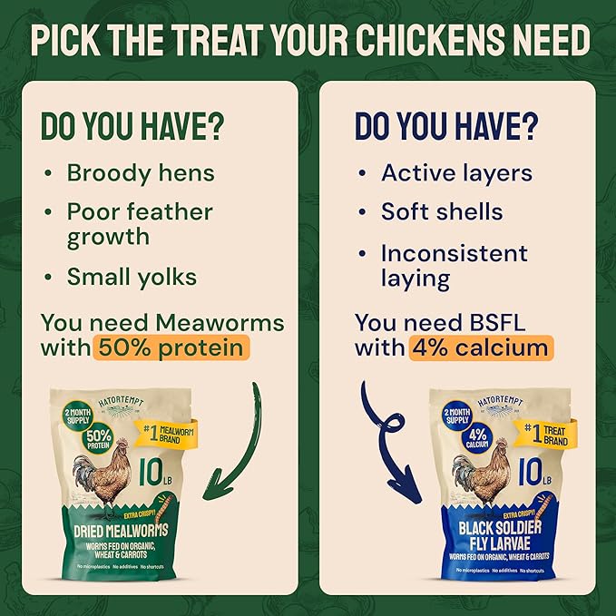 Hatortempt Bulk Dried Mealworms - 10 Lb Bag - Non-GMO Dried Mealworms for Chickens Ducks &amp Wild Birds - High-Protein Chicken Feed &amp Bird Food