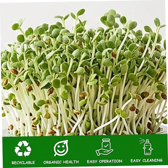 Sprouting Jar Kit Complete Seed Sprouting Jar Kit with Stainless Steel Stand &amp Drip Tray Easy Home Sprout for Microgreens Beans Broccoli