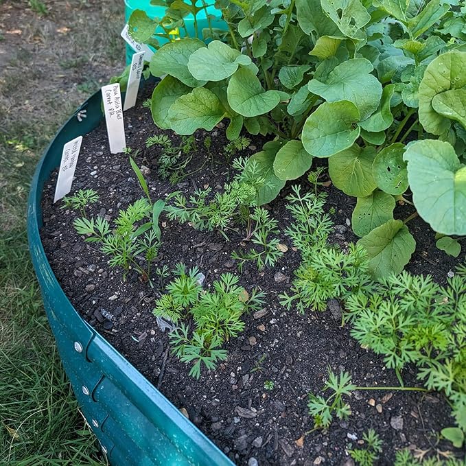 8 Pack 8x4x1FT Galvanized Raised Garden Bed Kit Oval Metal Ground Planter Box Outdoor Bottomless Planter Raised Beds for Vegetables Flowers Herbs Fruits Green