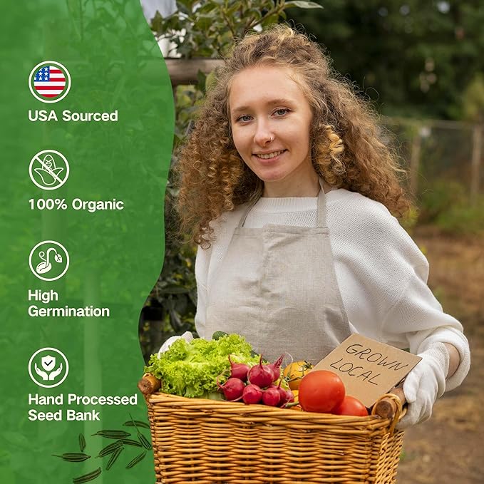 Lush&ampDew Raised Garden Bed Heirloom Seed Bank 32 Varieties 30000+ Non-GMO Seeds for Planting Vegetables Herbs Fruits Year-Round Gardening Gifts for Women Men Survival Seed Kit for Food Supplie