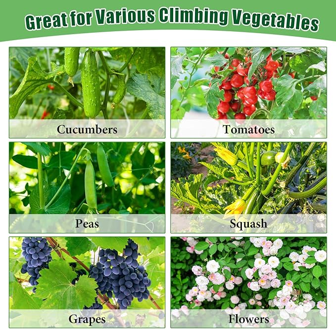 50x65x18 Inch Cucumber Trellis for Raised Bed - with 46 Gallon Grow Bags Garden Trellis for Climbing Plants Outdoor with Climbing Net and Plant Support for Cucumber Tomato Vegetable Grape Vine