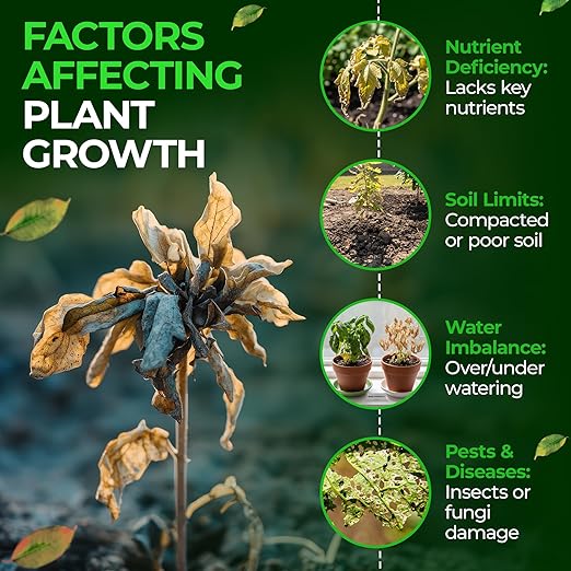 Five Star Arbor Pro 15-8-4 Liquid Fertilizer with Minors for Healthy Growth &amp Vibrant Plants - Slow-Release Nitrogen with Lasting Chelated Micronutrients for Trees Shrubs &amp Ornamentals - 1 Ga