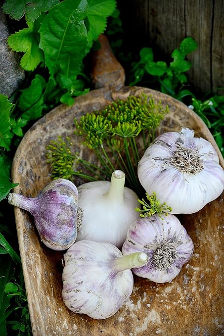 HyR BRIX Organic Vegetable Fertilizer 1-1-8 (5 LBS) - The Perfect Slow Release All Purpose Fertilizer Designed to Feed Your Garden Shrubs and Trees All Season Long!