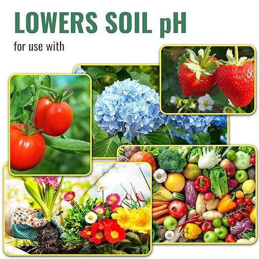 DL Wholesale Sulfur Bag 2lb Organic Plant Fertilizer Garden Planting Soil Food for Vegetable Garden Succulents OMRI Certified